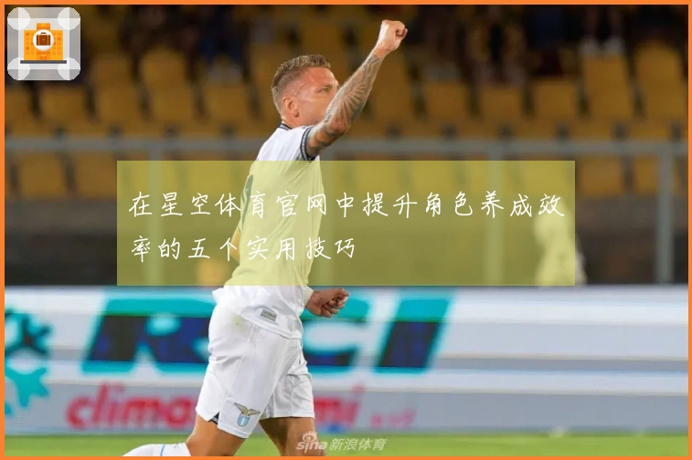在星空体育官网中提升角色养成效率的五个实用技巧