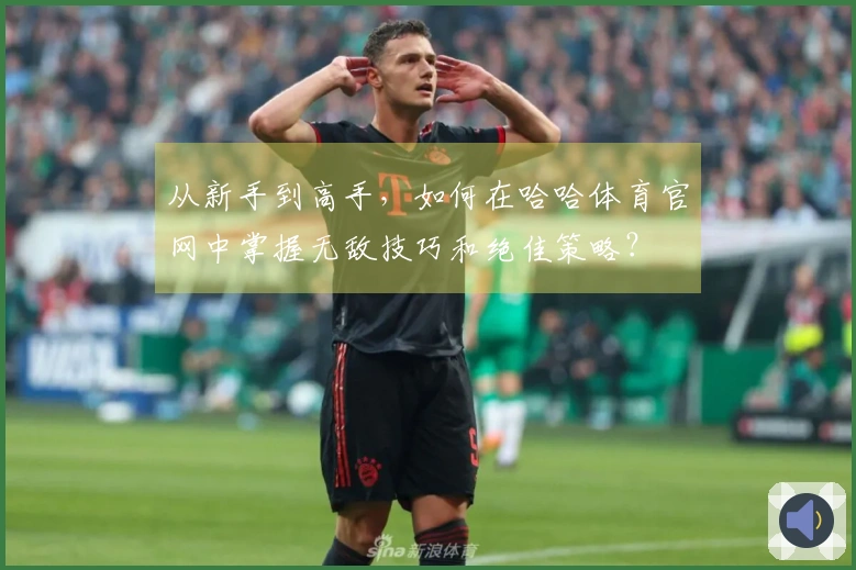 从新手到高手，如何在哈哈体育官网中掌握无敌技巧和绝佳策略？