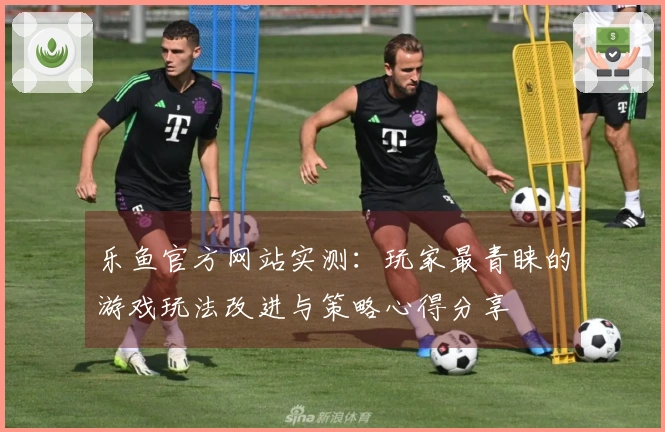 乐鱼官方网站实测:玩家最青睐的游戏玩法改进与策略心得分享